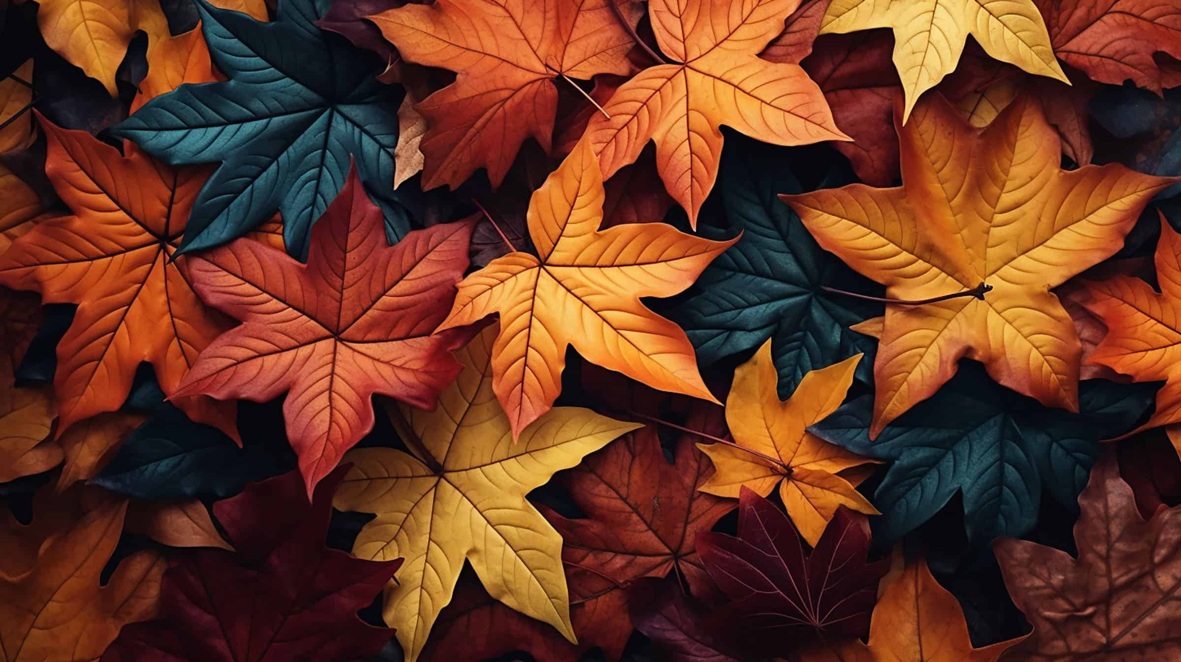 Autumn themed photo frame background