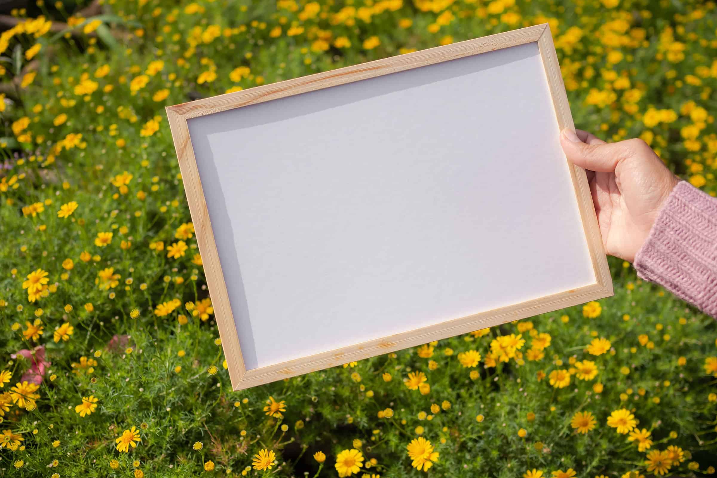 Woman with sweater holding photo frame, beautiful summer field in the background